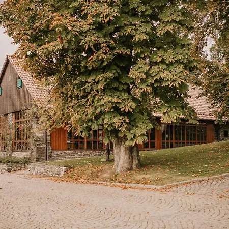 Zamecek Ostrov (Central Bohemian)