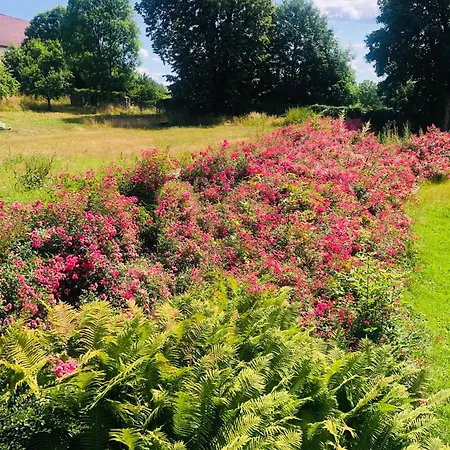 Zamecek Vendégház 3*