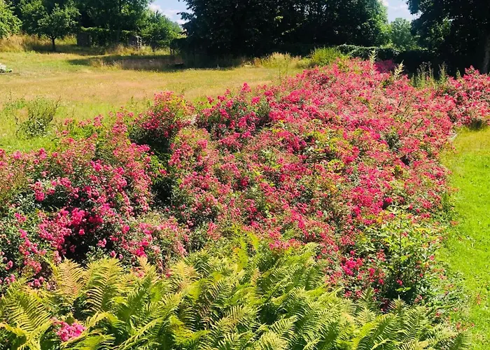 Zámeček Pensión 3*